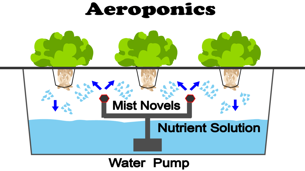 Aeroponics