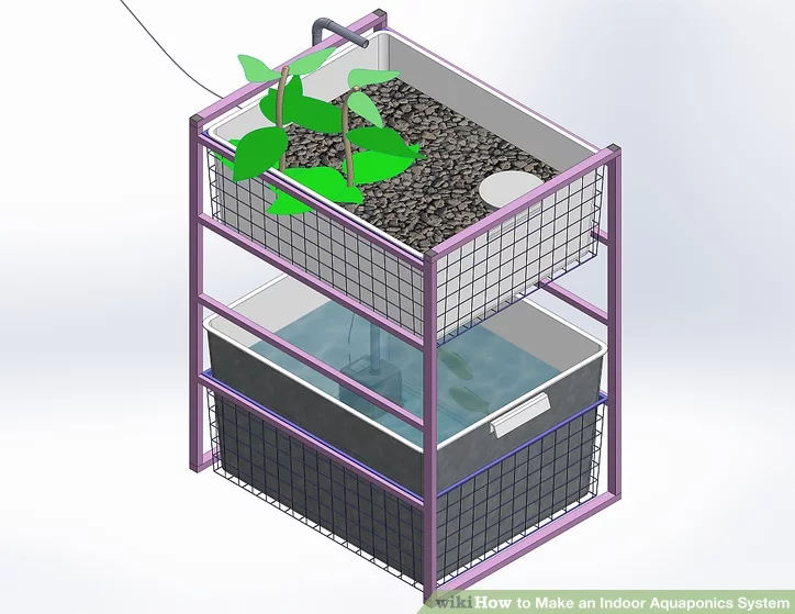 Basic Indoor Aquaponics System