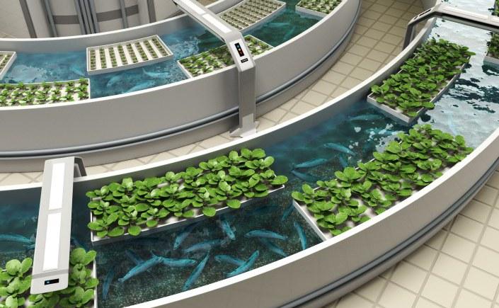 Circular Aquaponics for Dome