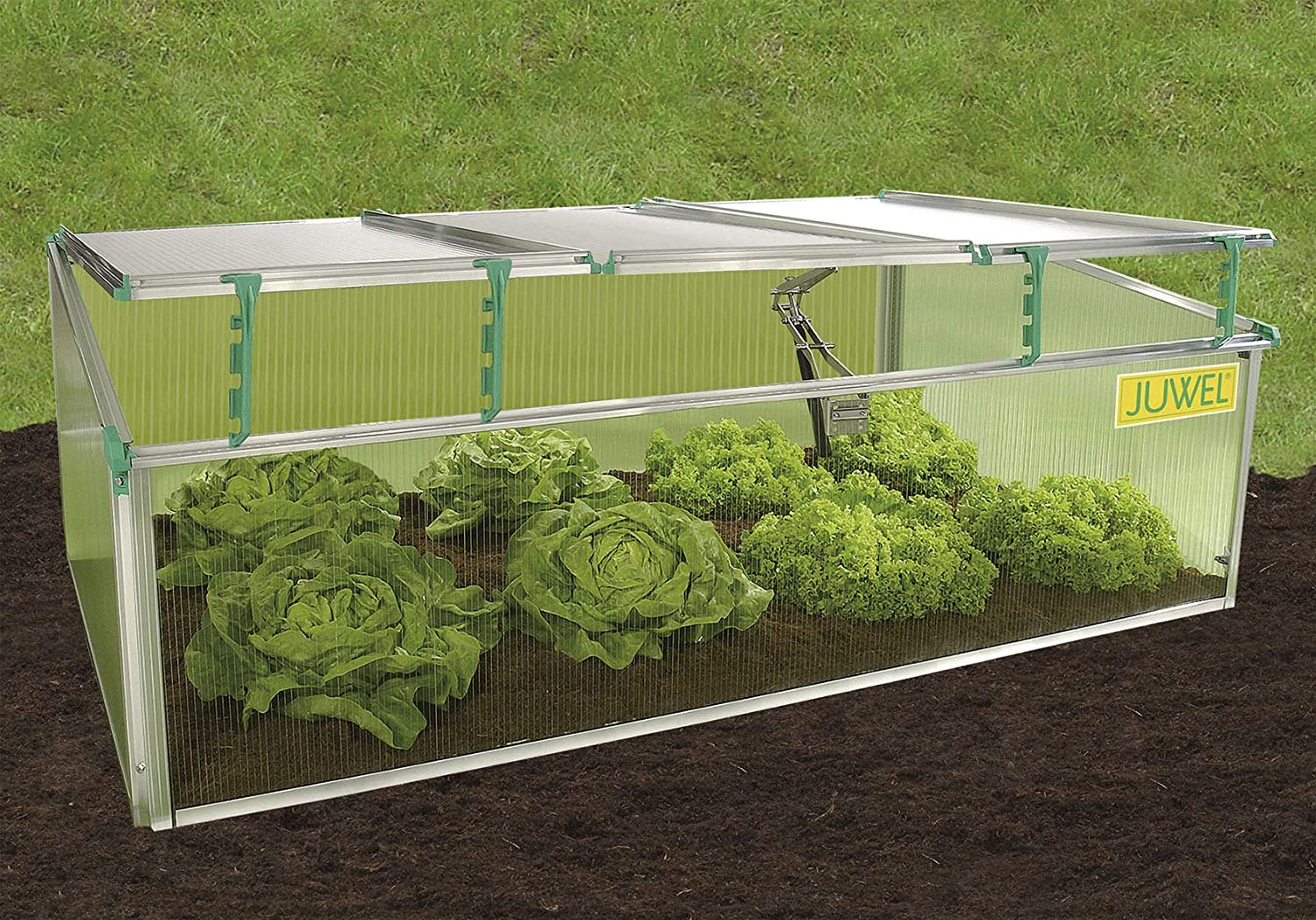 Cold Frame Premium