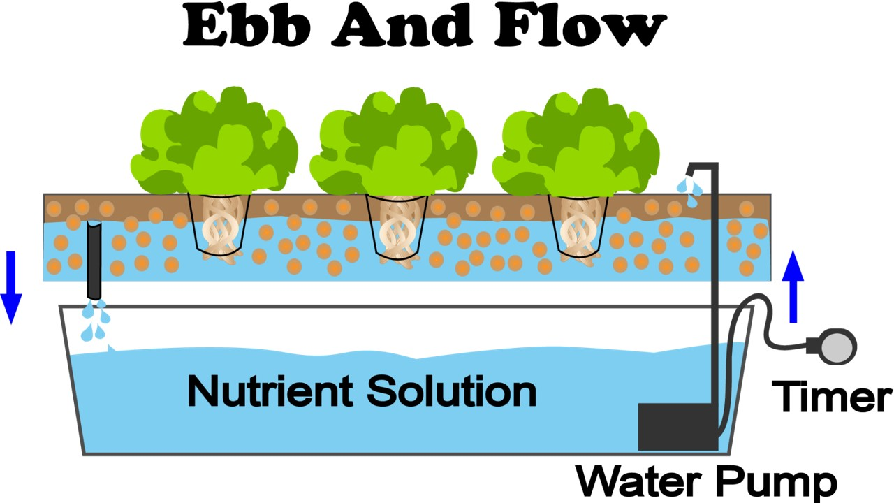 Ebb and Flow3