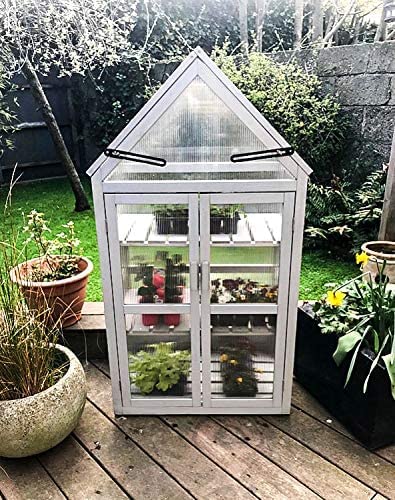 Mini Greenhouse