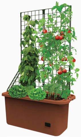 Planter with Trellis