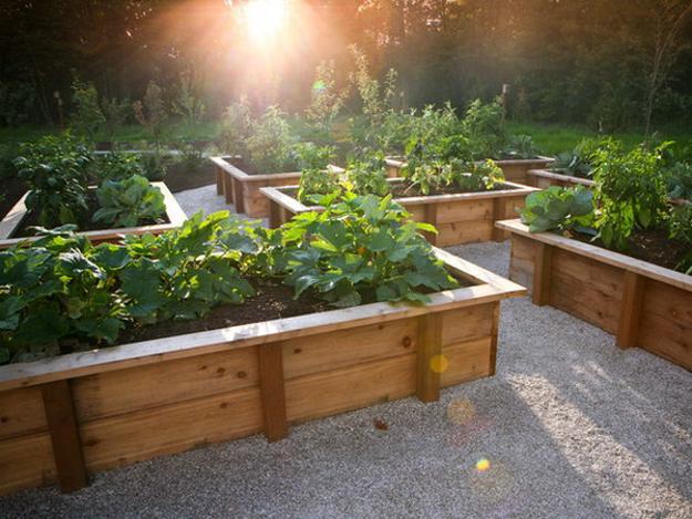 Raised Bed Idea2