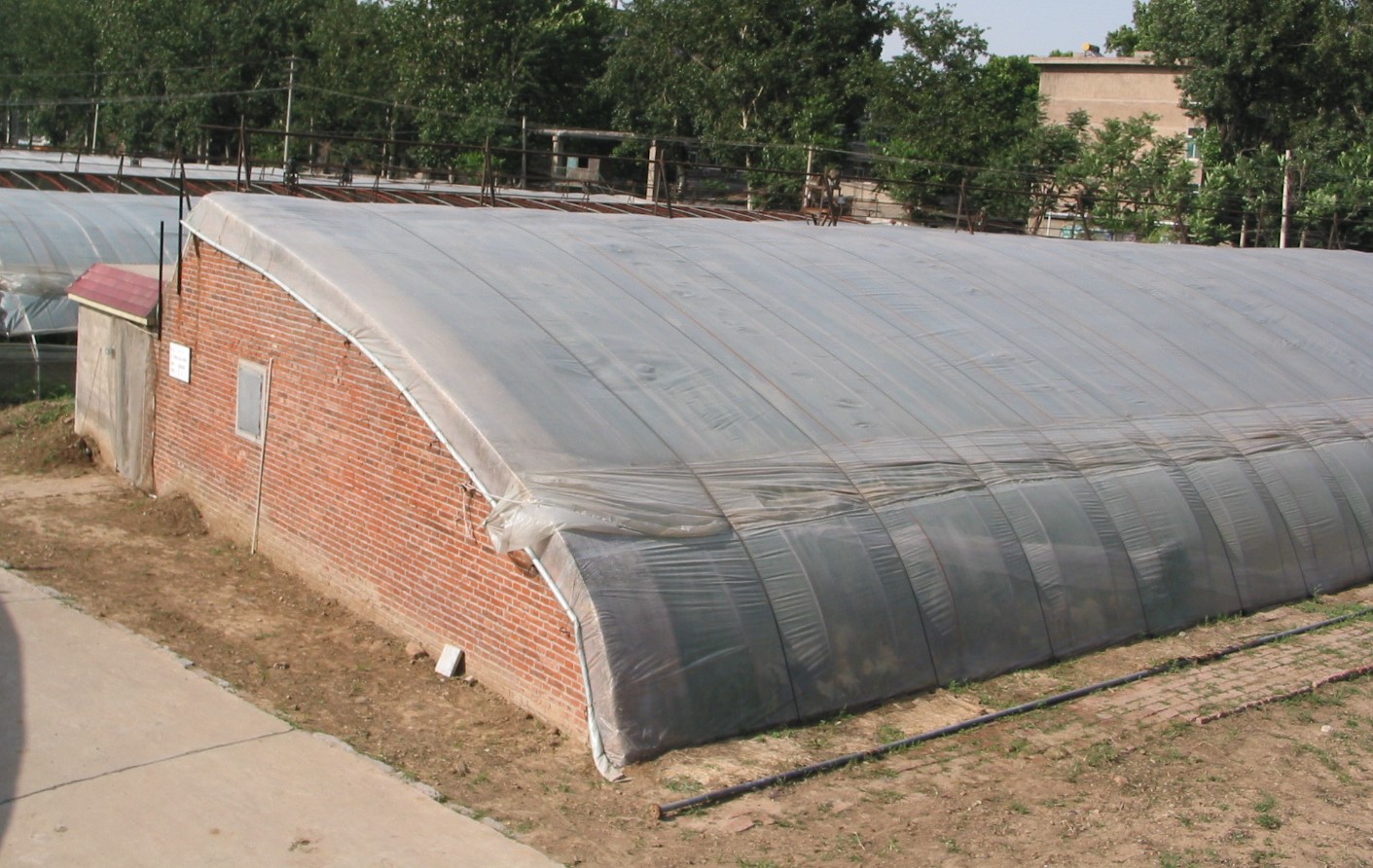 Solar Greenhouse