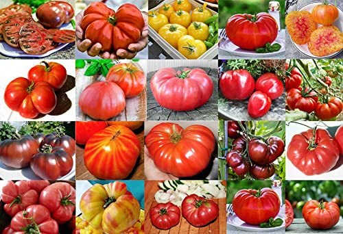 Tomato Giant Seed Mix