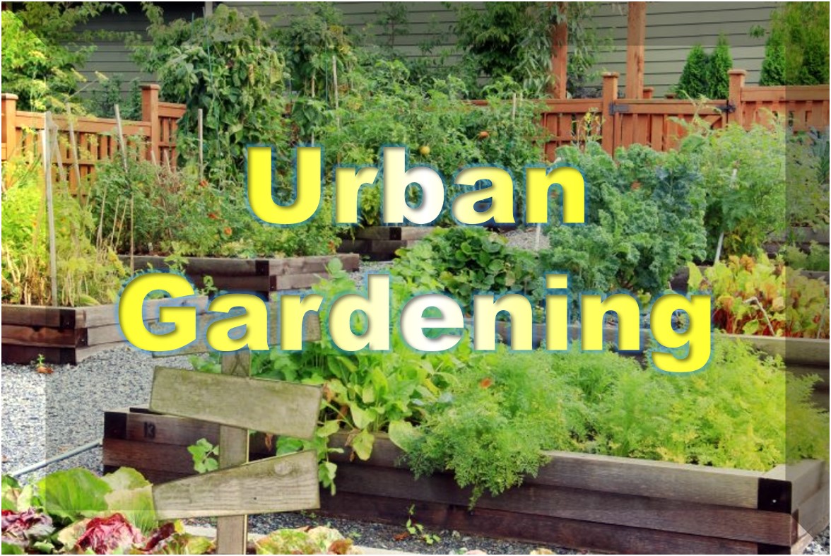 Urbangardening