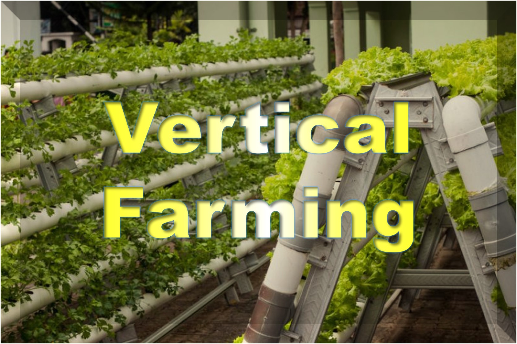 Vertical Farming