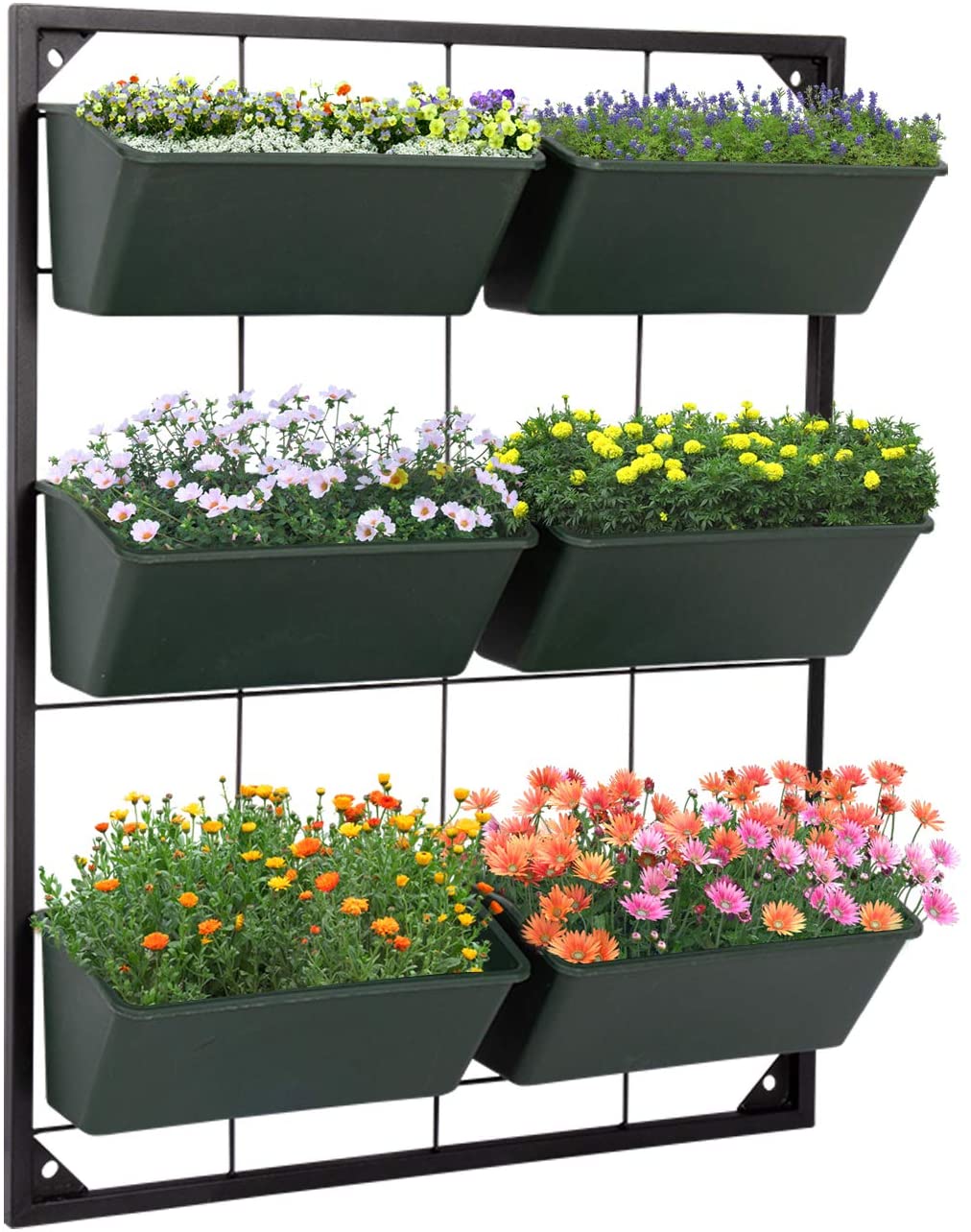 Vertical Garden 6 Boxes