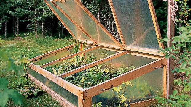 Alaska Style Cold Frame